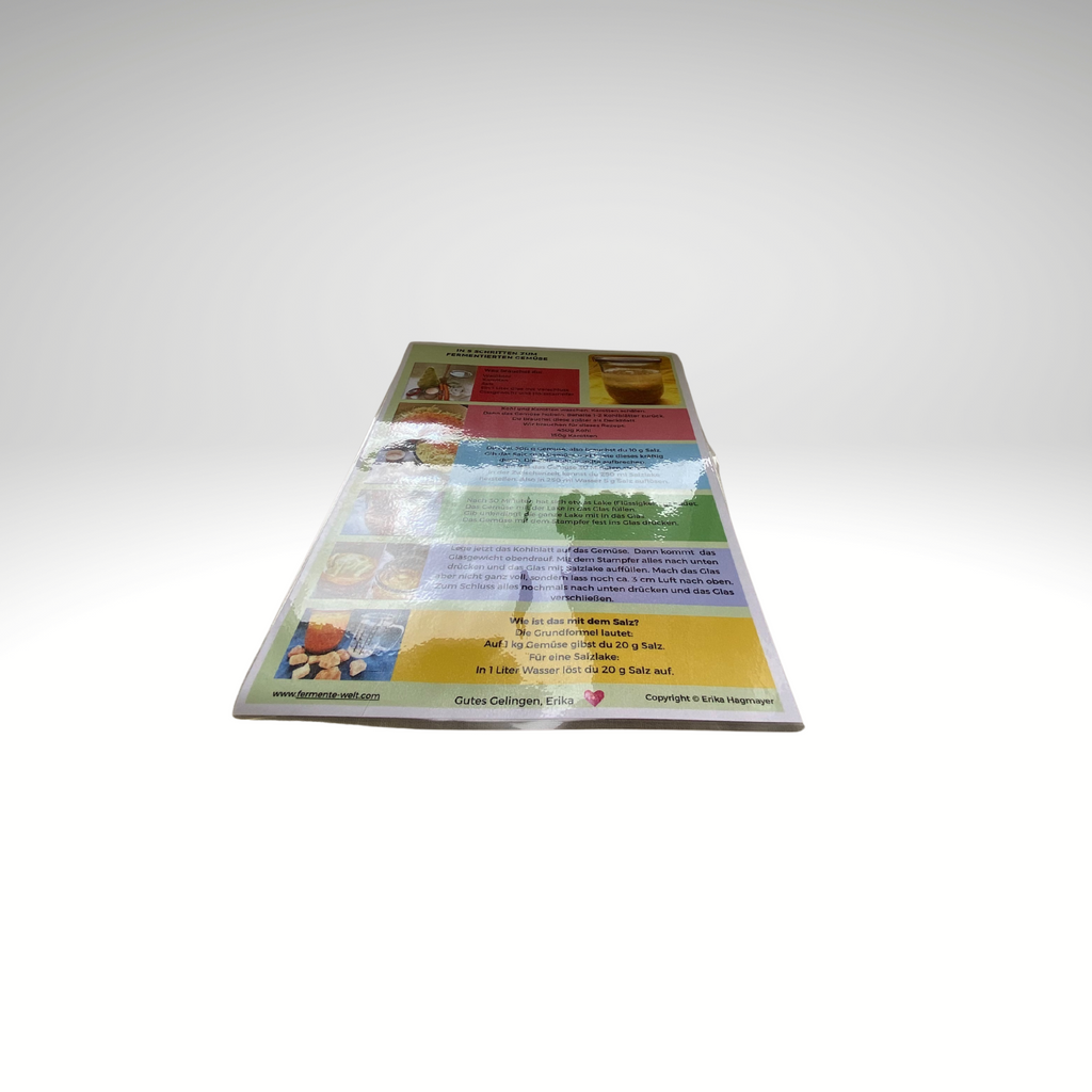 Fermentier-Starter-Set für Anfänger