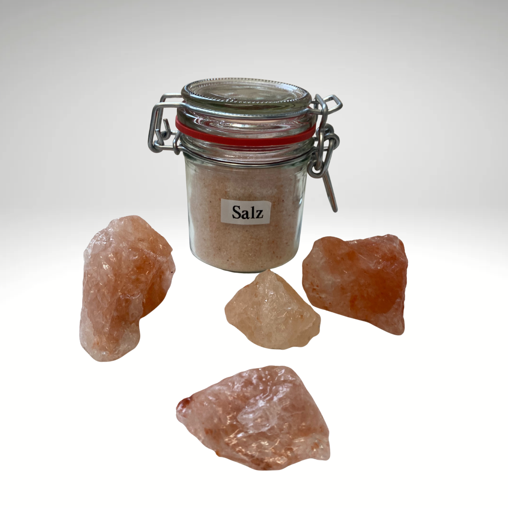 Das große Fermentier- und Sprossen-Set