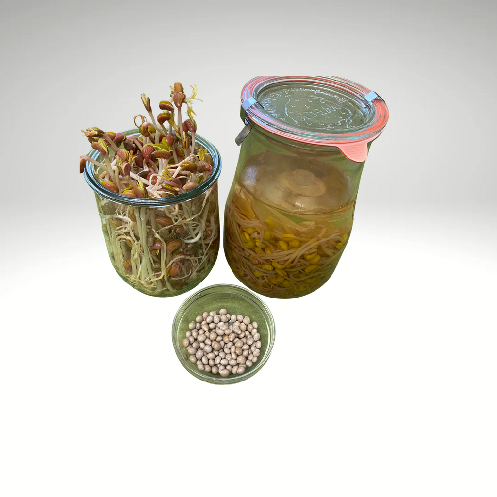 Das große Fermentier- und Sprossen-Set